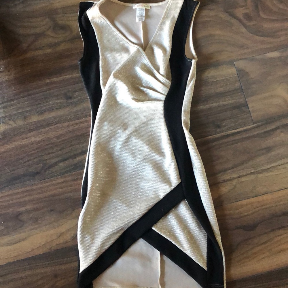 Shiny Agaci fitted dress
